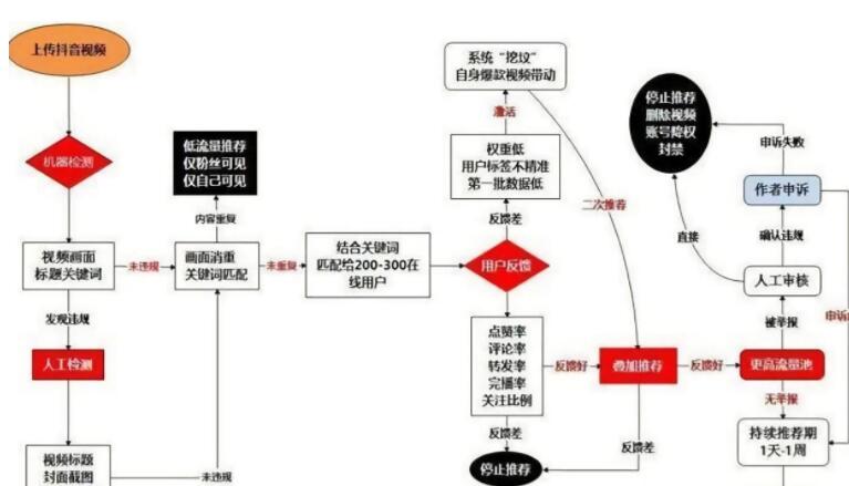 菊花有啥和功效第一福利精品500在线导航，捕捉世界，定格瞬间的真实力量